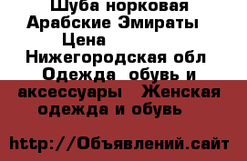 Шуба норковая Арабские Эмираты › Цена ­ 60 000 - Нижегородская обл. Одежда, обувь и аксессуары » Женская одежда и обувь   